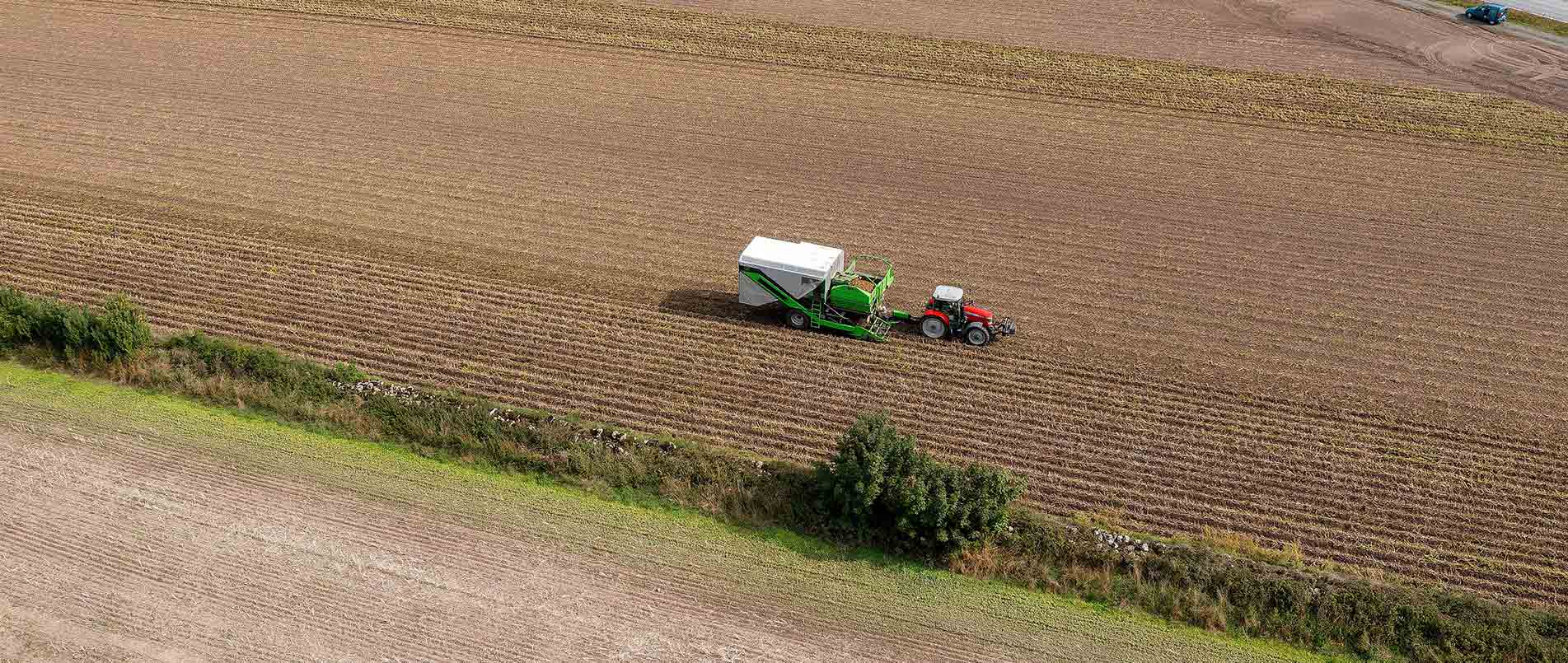 “探、收、烘、运”，看必一运动如何四管齐下一站式保障秋收果实