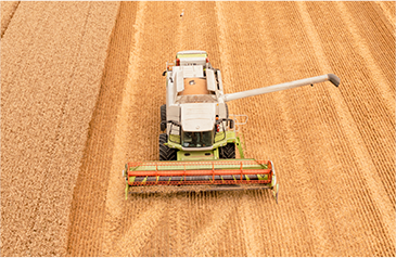 收——加大收割自动化力度，利用智能收获系统，保种保收，提产提质