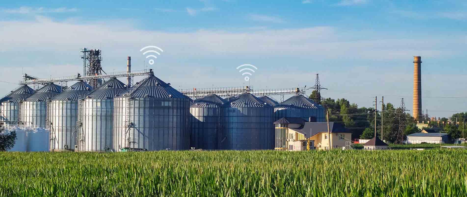 必一运动助力夏粮存储新招式，科技手段更有效