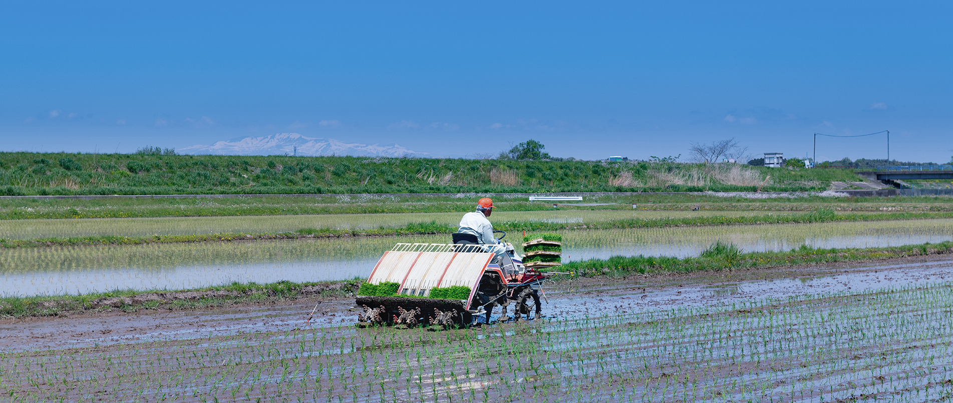 农机水田作业的“智慧大脑”——沃地泰FMA210，告别“经验种植”，开启精准高效农业之旅